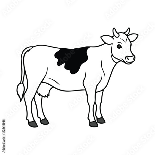 black and white cow