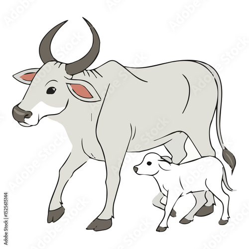 black and white bull