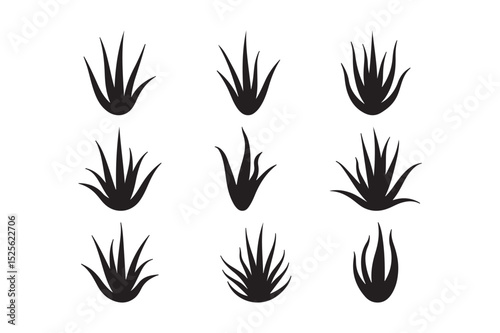 Aloe Vera Plant Silhouettes Set of Succulent Icons for Herbal, Natural, or Botanical Design