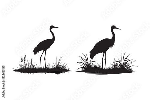 Crane Silhouettes in Grass
