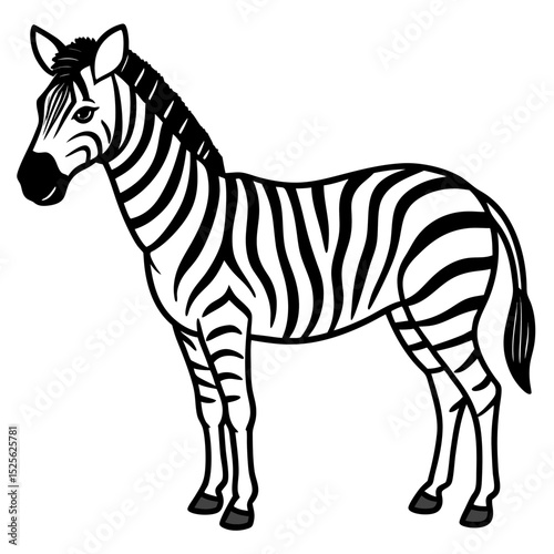 Minimal Zebra Vector on White Background