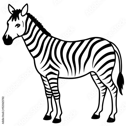 Minimal Zebra Vector on White Background