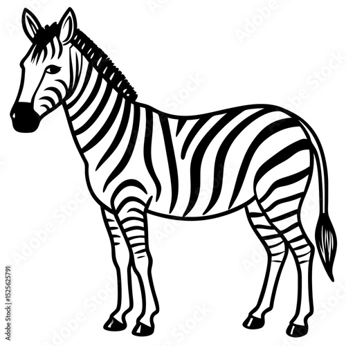 Minimal Zebra Vector on White Background