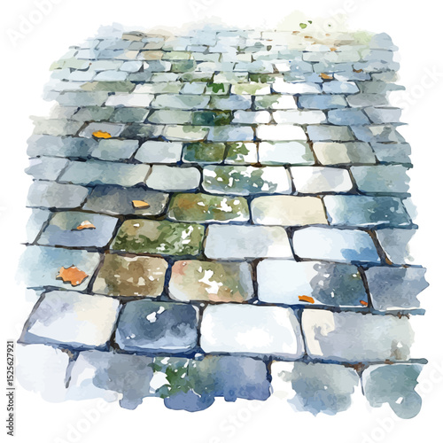 Rain Reflections Cobblestone Path, watercolor painting vector, high quality, isolated on a white background.