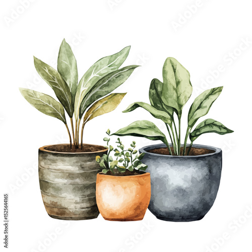 Planters, watercolor illustration vector, isolated on a white background.
