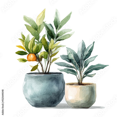 Planters, watercolor illustration vector, isolated on a white background.