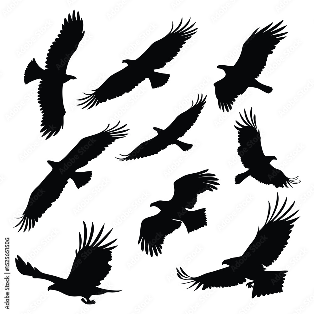 Obraz premium Silhouette of Eagles Soaring A Collection of Black Bird Shapes in Flight