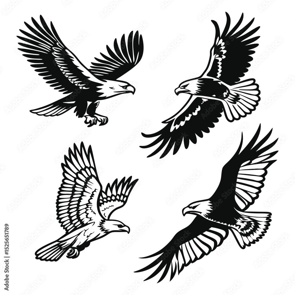 Fototapeta premium Four Black and White Eagle Illustrations in Flight on a White Background