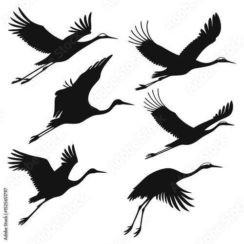 Elegant Cranes in Flight A Silhouette Collection of Graceful Birds