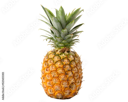 Fresh, ripe pineapple isolated on a transparent background, a sweet and juicy tropical fruit perfect for a healthy diet