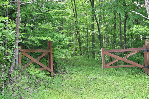 Open Gate to the Woods