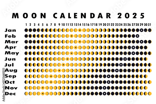 2025 Moon calendar. Astrological calendar design. planner. Place for stickers. Month cycle planner mockup. Isolated black and white background.