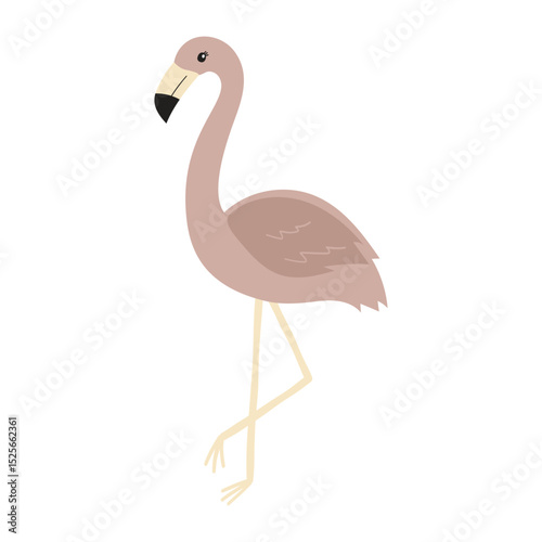 Illustration of a Pink Beautiful Flamingo