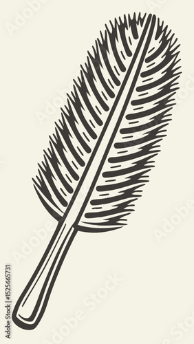 Elegant hand drawn illustration of a detailed feather with transparent background