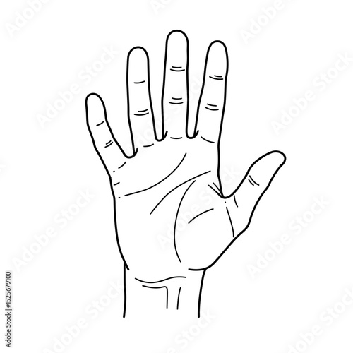 Human palm, hand vector icon design with stroke line. Front side hand vector, silhouette.