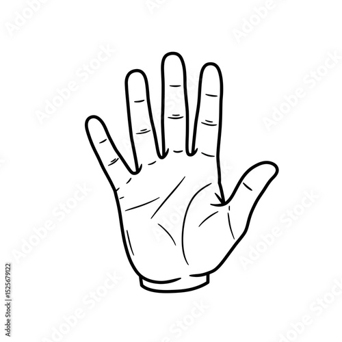 Human palm, hand vector icon design with stroke line. Front side hand vector, silhouette.