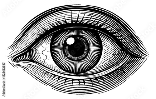 Detailed Engraved Illustration of Eye with Intricate Lines and Textures in Black and White