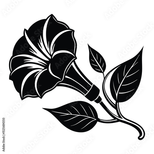 Morning Glory Flower Silhouette Vector Illustration on White Background