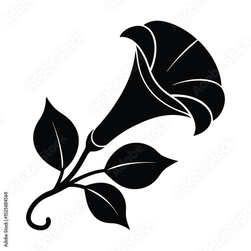 Morning Glory Flower Silhouette Vector Illustration on White Background