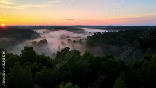 Stunning of a sunset over a thick green forest in fog on a sunny day. Aerial view