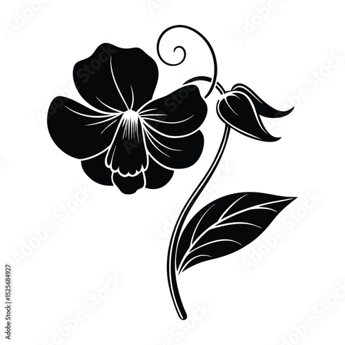 Sweet Pea Flower Silhouette Vector Illustration on White Background