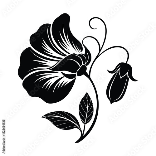 Sweet Pea Flower Silhouette Vector Illustration on White Background