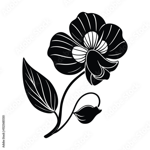 Sweet Pea Flower Silhouette Vector Illustration on White Background