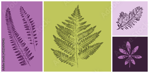 Set of hand drawn fern leaf botanical prints on various color swatches. Plant and flower art for card design or invitation.