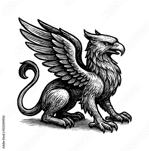 Majestic Griffin Illustration in Detailed Engraving Style on White Background
