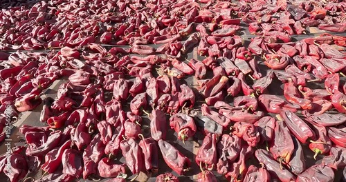 Red Chili Peppers Drying Under the Sun in Cachi, Salta, Argentina – Traditional Andean Agriculture Scene