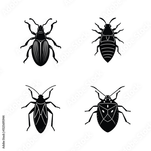 Insect vector silhouette bundle set