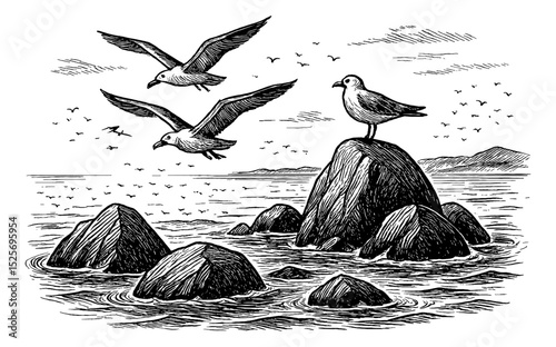 Seagulls Flying and Perched on Rocks in Ocean with Waves in Black and White Engraving