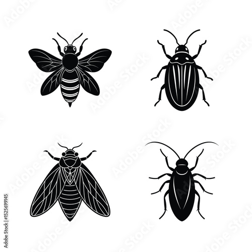 Insect vector silhouette bundle set