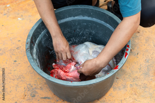 a man taking the offal of a qurban animal