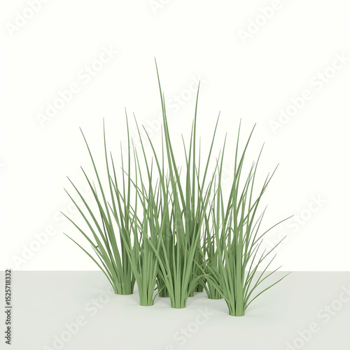 Standing Green Grass Plants on White Surface Simplicity