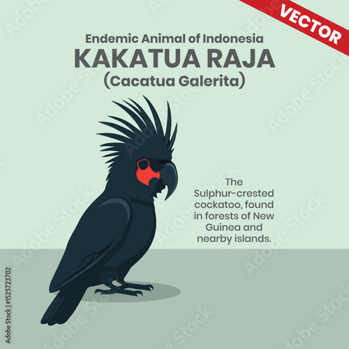 Kakatua Raja Endemic Animals of Indonesia Wildlife Infographic