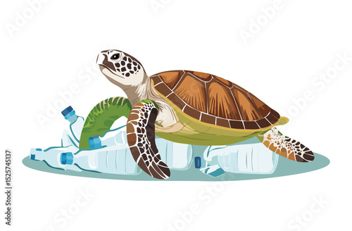 Sea Turtle Carrying Plastic Debris on Shell