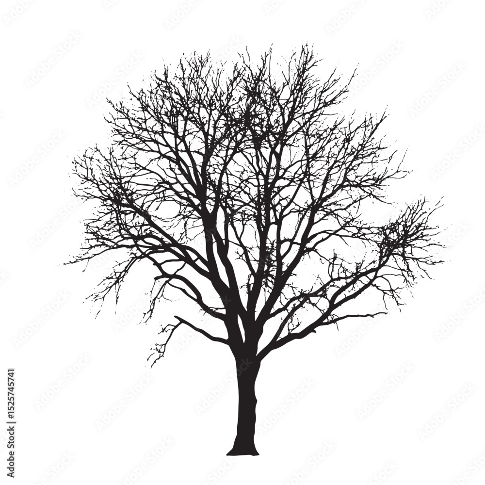 Obraz premium Black Tree Art Ash Silhouette