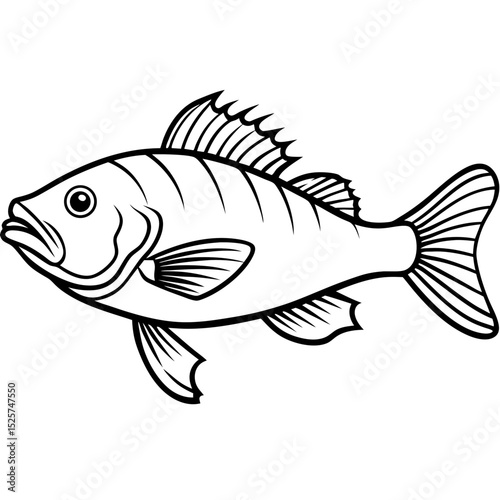 Atlantic Wolffish Vector — Simple Illustration on White Background