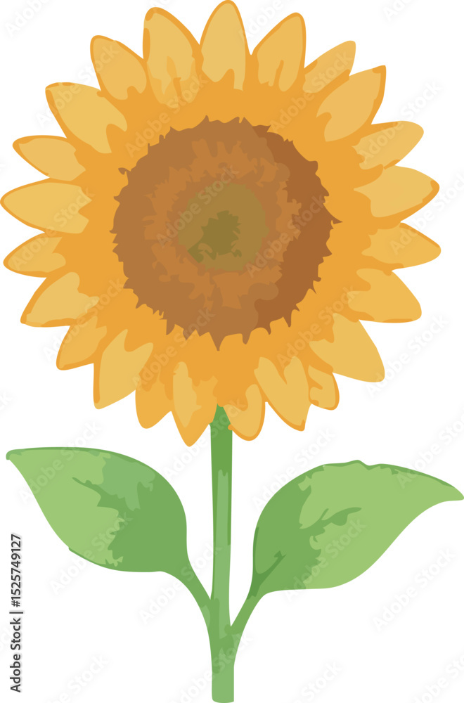 Fototapeta premium Front View Watercolor Illustration of a Sunflower