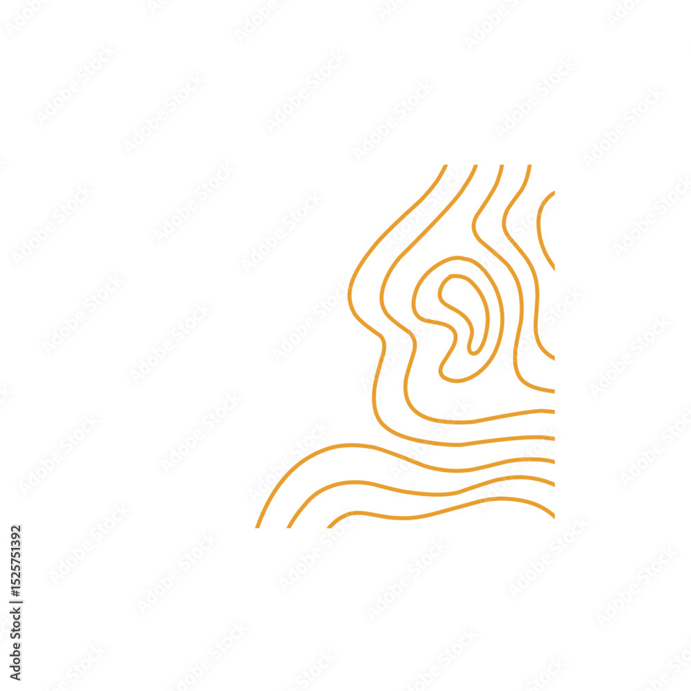 Obraz premium topographic lines