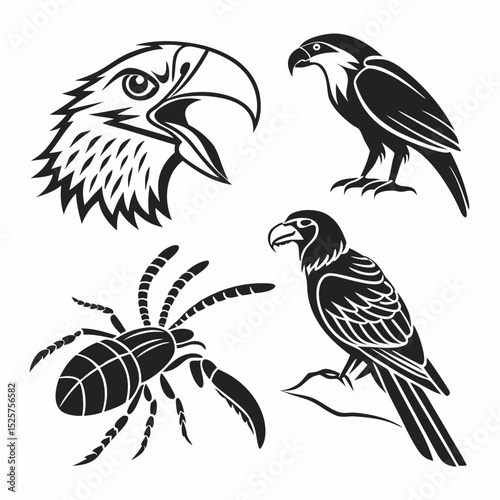 Professional bird and insect cutouts, transparent background