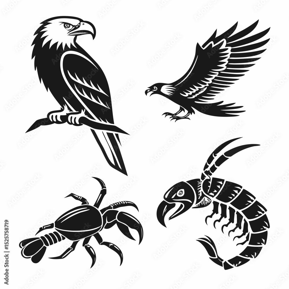 Obraz premium Professional eagle hawk lobster scorpion cutouts transparent background