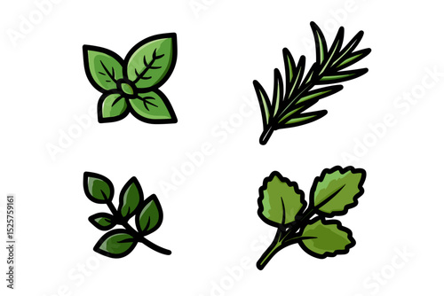 Culinary herbs assortment: basil, rosemary, sage, and thyme, against transparent background.