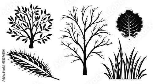 Black Silhouettes of Trees, Bushes, and Plants – Vector Nature Elements