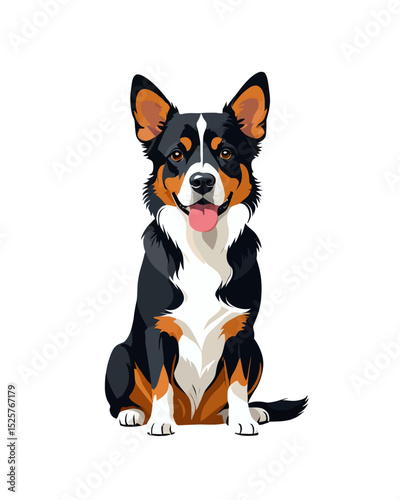 Cute domestic border collie puppy isolated on white background