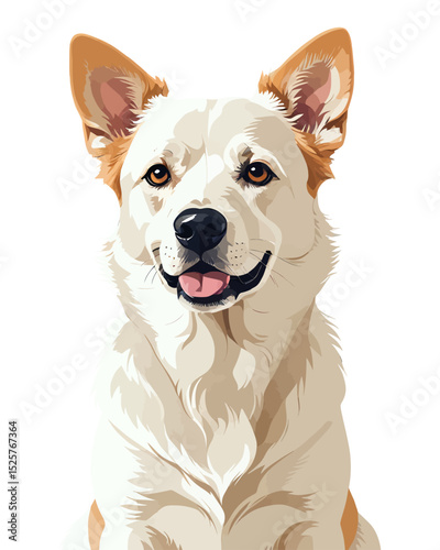 Happy purebred border collie puppy with tongue out, sitting in a studio with a white background