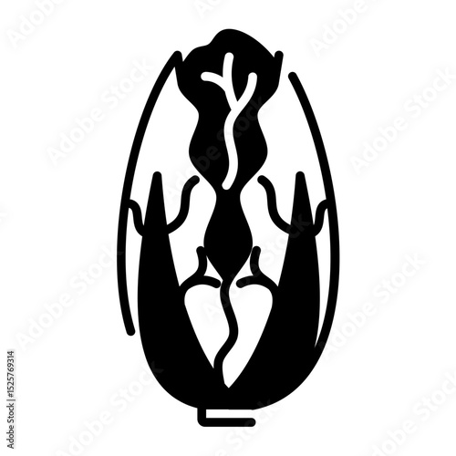 napa cabbage icon	