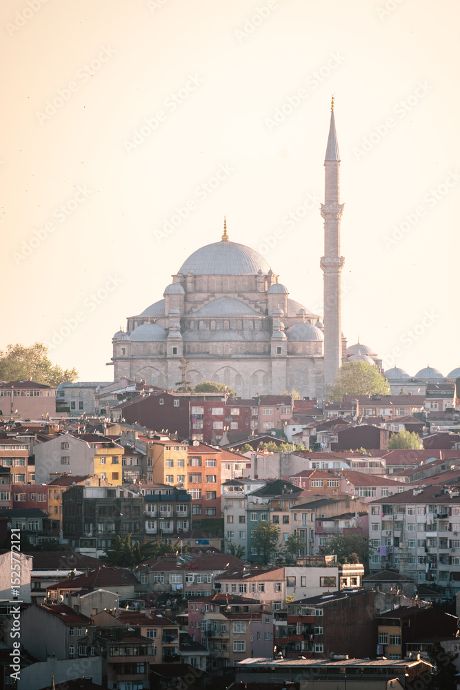 Naklejka premium Istanbul city skyline and mosque at sunset