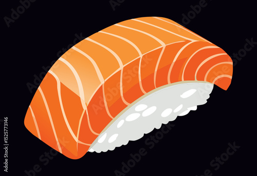 Artistic Salmon Sushi Detail View - Vector Illustration